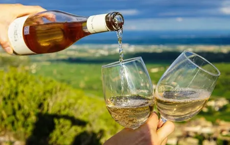 Private Wine Tasting Tour in Chablis Burgundy from Paris