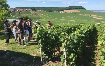 From Paris full day private tour to the Champagne region