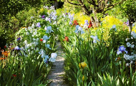 Giverny Claude Monet House & Gardens 5 hour tour from/to Paris