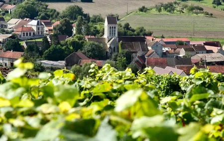Taittinger Champagne Tastings Cellars Private trip from Paris