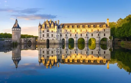 Loire Chambord Chenonceau Da Vinci Castle Private Tour from Paris
