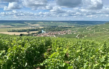 Champagne Mercier, Le Gallais, Pressoria Small-group from Paris