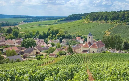 Champagne Tour