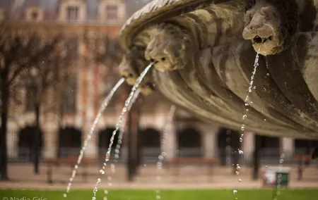 Le Marais Private Walking Tour