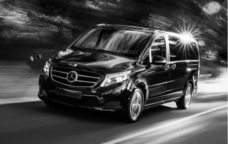 VIP VAN driver Transfer to Disneyland Paris