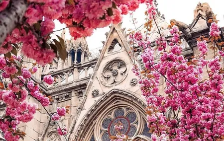 Private Tour of Central Paris: Icons, Secrets & Local Stories