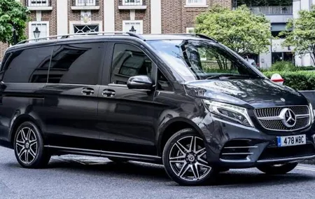 Private Disneyland Return Transfer Up to 6 People