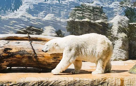 Prague Zoo Ticket with Online Audio Guide