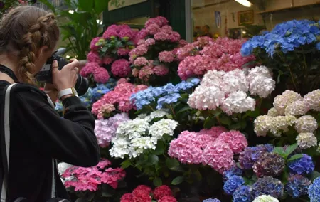 Marché Madness & Flea Markets: Full or Half day Privater Tours