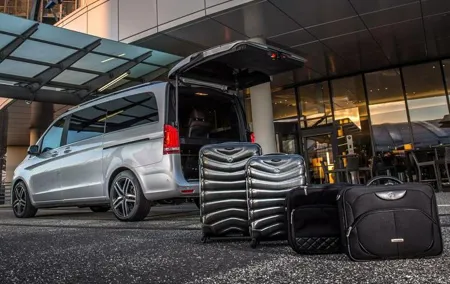 Disneyland Private Transfer - Luxury Minivan Service