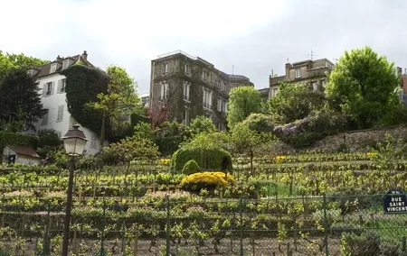 The Winegrowers’ Rally in Montmartre
