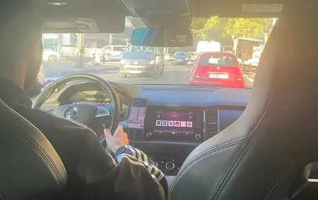 Transfer Paris with Driver to Disneyland