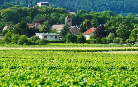 Burgundy 2 Day Private Tour from Paris