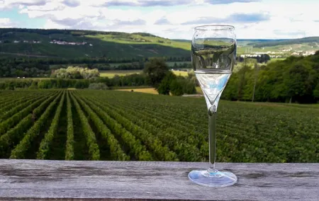 Private Day Trip to Champagne Region with Lunch