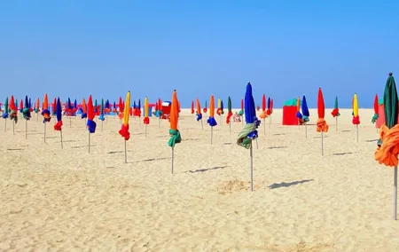 Driver service: Paris to Deauville and Honfleur round trip - 12 hours
