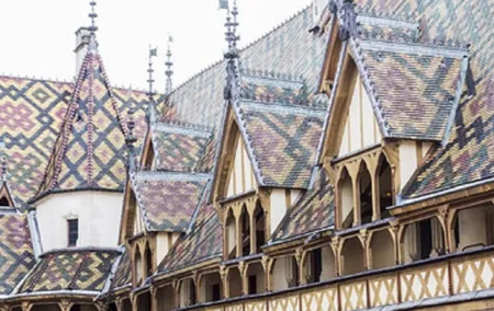 BURGUNDY : Wine Tasting & Visits- Private Day Trip From Paris