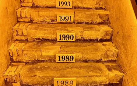 DeLuxe Veuve Clicquot Ruinart Champagne Cellars & Tastings trip