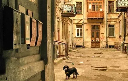 Private Guided Tour of Odessa Hidden Courtyards