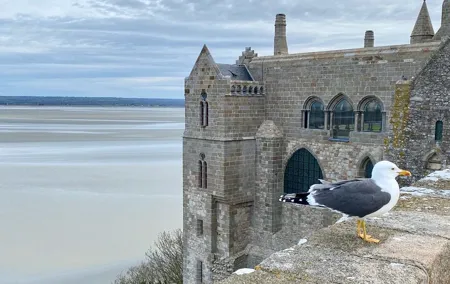 Live Guided Mont Saint-Michel D Day Private trip by Mercedes