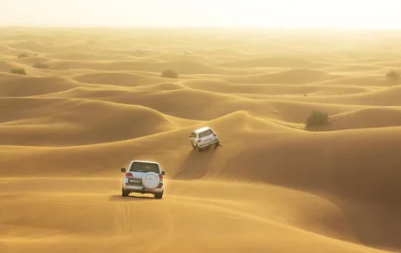 Half-Day Dubai Dunes Desert Safari Experience