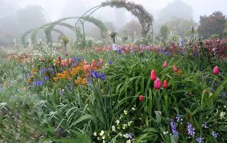 Audio Tour in Giverny and Versailles with Pick up and Drop off