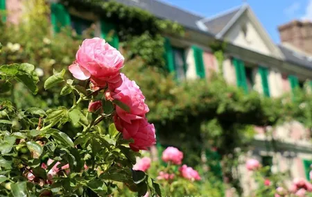 Visit Claude Monet's House: Giverny Private Day Trip from Paris