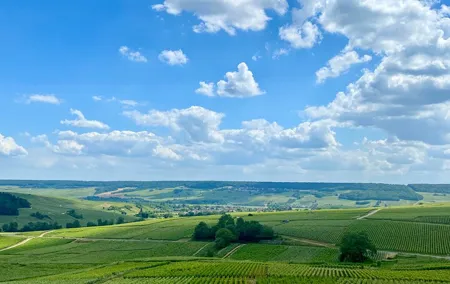 Private Champagne Ayala Cellars & Pressoria Trip from Paris