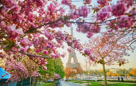 Half Day Private Tour of Paris with a Local