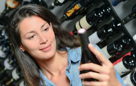 one day of shopping of the best wines in Burgundy (day-trip from PARIS)