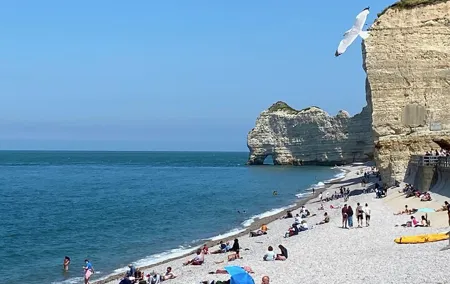 Normandy Honfleur, Etretat Cliffs Live Guided Private Trip