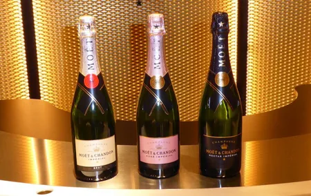 Private Reims Champagne with Minivan