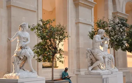 5 Hour Private Louvre Audio Tour with Cruise and Transfer