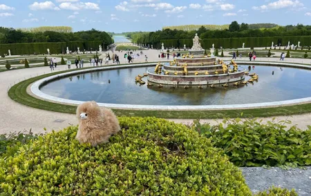 Versailles Half Day Small Group Tour Trianons and Gardens