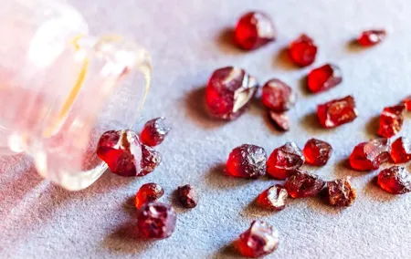 Czech garnet panning, scenic drive, farm & cheese, lunch & beer