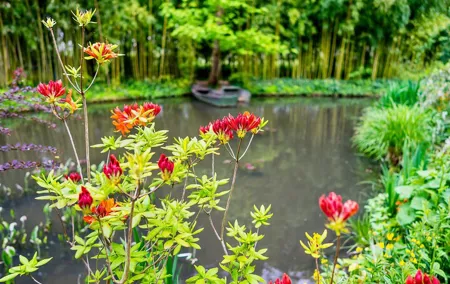 Private Live Guided Giverny Honfleur Etretat Cliffs by Mercedes