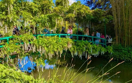 Private Tour from Paris: Giverny Water Garden + Gift