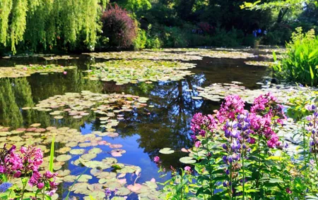 Private Giverny Roundtrip and Entrance Ticket from Paris
