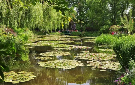 Private Giverny with Minivan