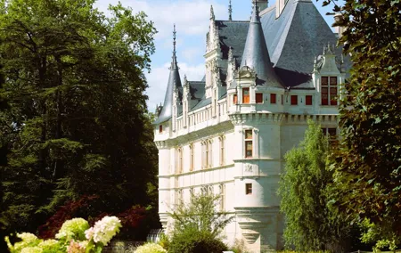 Loire Valley Castles VIP Chauffeur Driven Tour from Paris 12hrs