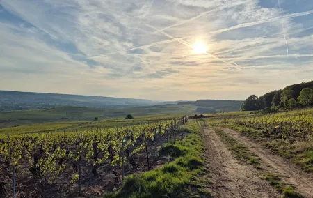 From Paris a Full Day Private Champagne tour with local Tasting