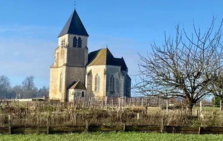 3-Day Castles, Champagne & Chablis Wine Tastings Private Tour