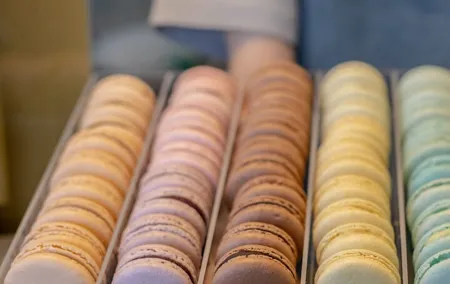 2 Hours Private Sightseeing Tour with Sweet Delights in Le Marais