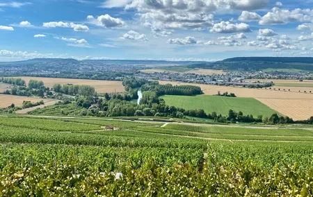 Champagne Boizel since 1834 Private trip from Paris