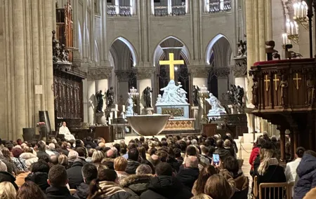 Notre Dame Revealed: 1-Hour Guided Exterior Tour Visit