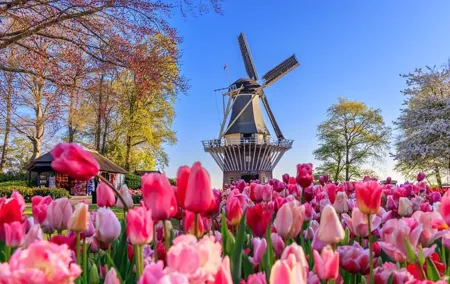 Keukenhof and Zaanse Schans Windmills Day Trip from Amsterdam