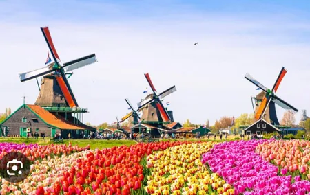Windmills Country side tour Zaanse Schans-Cheesefactory-Volendam