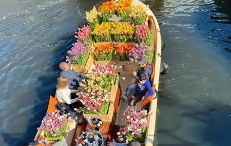 Amsterdam: Exclusive Tulip Tour Canal Cruise