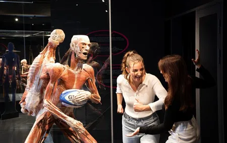 Body Worlds Amsterdam Admission Ticket