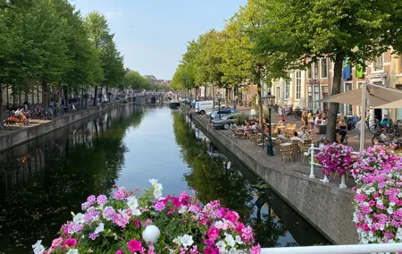 Private Tour from Amsterdam: Historical Leiden