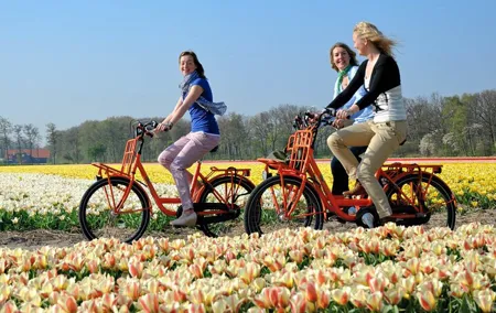 Keukenhof and Zaanse Schans: Windmills and Tulips Guided Day Tour